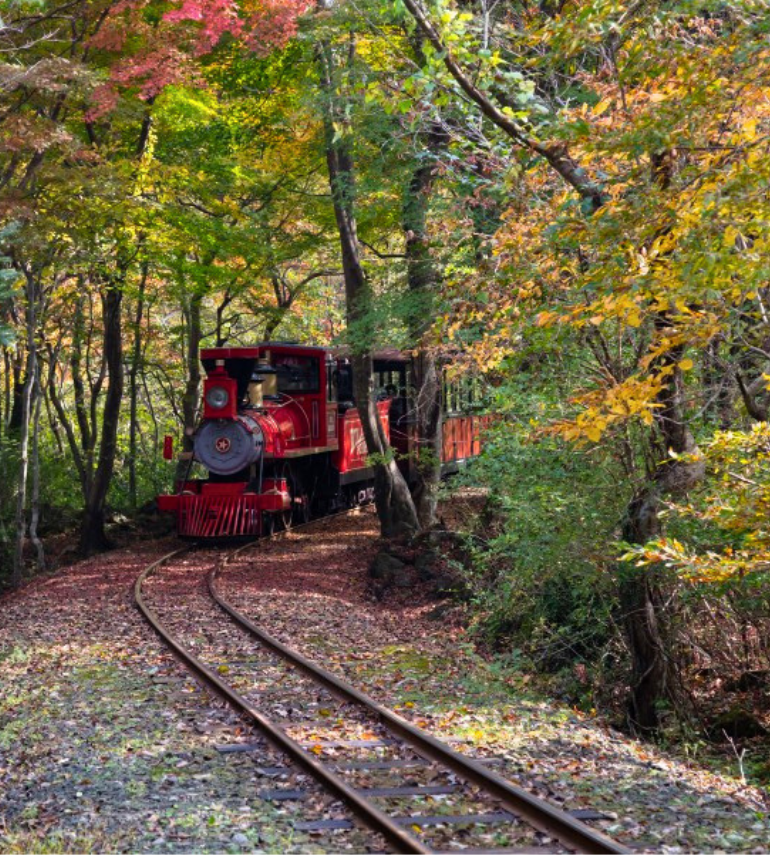 真享玩濟州4日遊